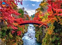 Tour Nhật Bản Cung Đường Tokyo - Núi Phú Sĩ - Enoshima Mùa Thu